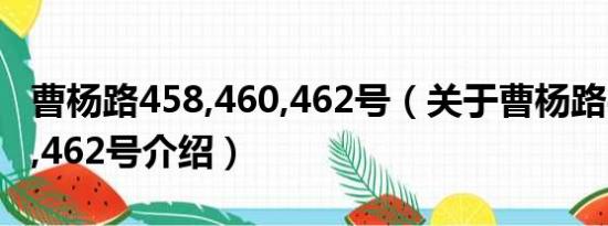 曹杨路458,460,462号（关于曹杨路458,460,462号介绍）