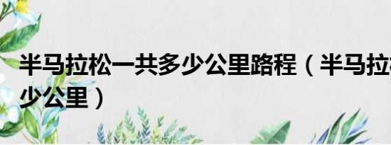 半马拉松一共多少公里路程（半马拉松一共多少公里）