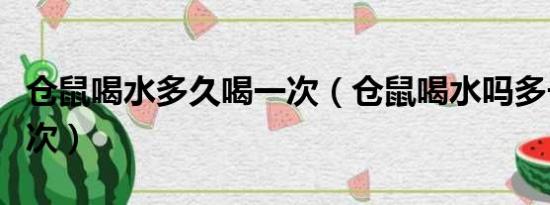 仓鼠喝水多久喝一次（仓鼠喝水吗多长时间一次）