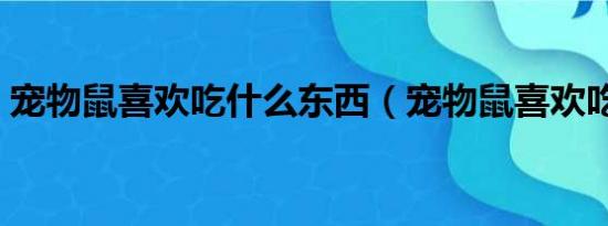 宠物鼠喜欢吃什么东西（宠物鼠喜欢吃什么）