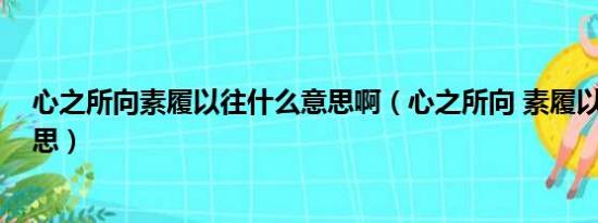 心之所向素履以往什么意思啊（心之所向 素履以往 什么意思）