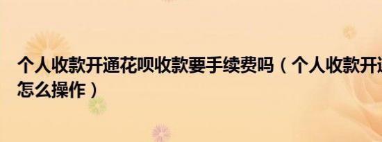 个人收款开通花呗收款要手续费吗（个人收款开通花呗收款怎么操作）