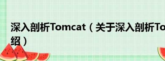 深入剖析Tomcat（关于深入剖析Tomcat介绍）