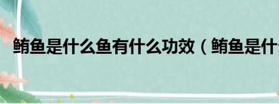 鲔鱼是什么鱼有什么功效（鲔鱼是什么鱼）