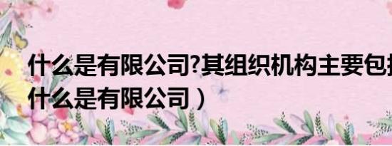 什么是有限公司?其组织机构主要包括哪些（什么是有限公司）