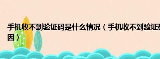 手机收不到验证码是什么情况（手机收不到验证码是什么原因）