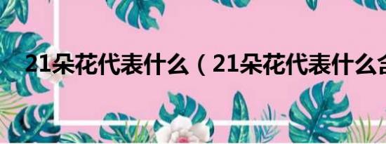 21朵花代表什么（21朵花代表什么含义）