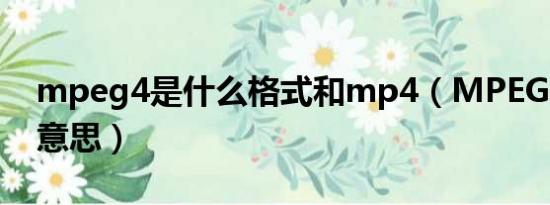 mpeg4是什么格式和mp4（MPEG4是什么意思）