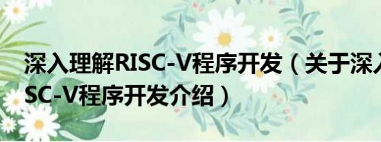 深入理解RISC-V程序开发（关于深入理解RISC-V程序开发介绍）