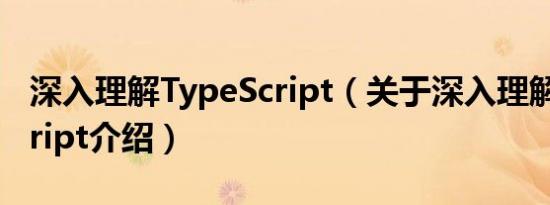 深入理解TypeScript（关于深入理解TypeScript介绍）