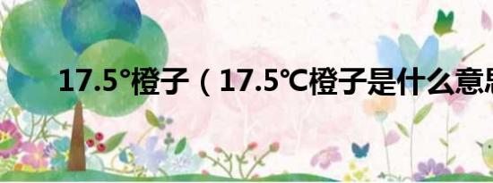 17.5°橙子（17.5℃橙子是什么意思）