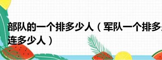 部队的一个排多少人（军队一个排多少人一个连多少人）