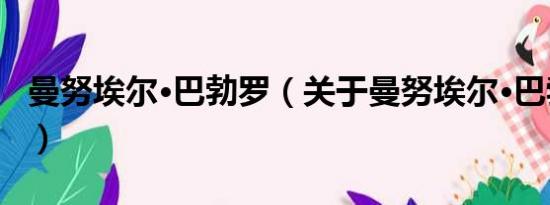 曼努埃尔·巴勃罗（关于曼努埃尔·巴勃罗介绍）