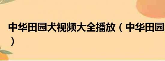 中华田园犬视频大全播放（中华田园犬怕冷吗）