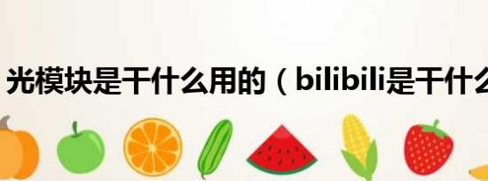 光模块是干什么用的（bilibili是干什么用的）