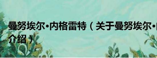 曼努埃尔·内格雷特（关于曼努埃尔·内格雷特介绍）