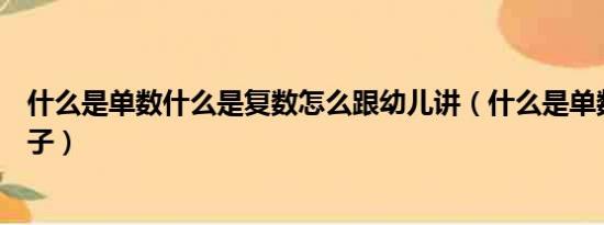 什么是单数什么是复数怎么跟幼儿讲（什么是单数怎么教孩子）