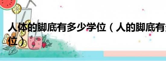 人体的脚底有多少学位（人的脚底有多少个穴位）