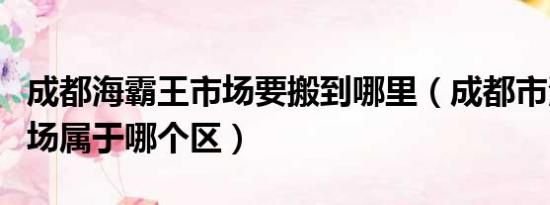 成都海霸王市场要搬到哪里（成都市海霸王市场属于哪个区）