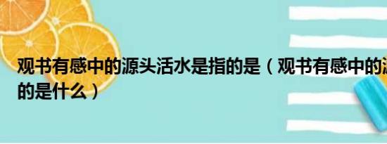 观书有感中的源头活水是指的是（观书有感中的源头活水指的是什么）