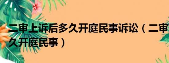 二审上诉后多久开庭民事诉讼（二审上诉后多久开庭民事）