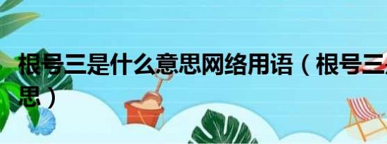 根号三是什么意思网络用语（根号三是什么意思）