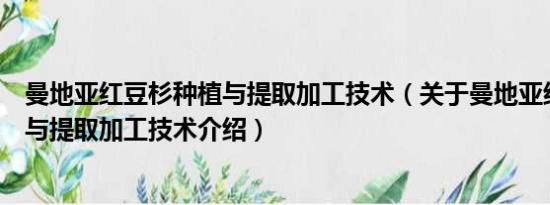 曼地亚红豆杉种植与提取加工技术（关于曼地亚红豆杉种植与提取加工技术介绍）