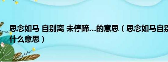 思念如马 自别离 未停蹄…的意思（思念如马自别离未停蹄什么意思）