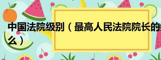 中国法院级别（最高人民法院院长的级别是什么）