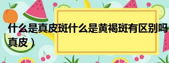 什么是真皮斑什么是黄褐斑有区别吗（什么是真皮）