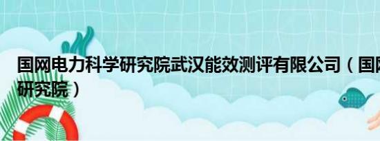 国网电力科学研究院武汉能效测评有限公司（国网电力科学研究院）