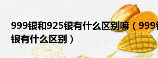 999银和925银有什么区别嘛（999银和925银有什么区别）