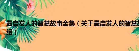 最启发人的智慧故事全集（关于最启发人的智慧故事全集介绍）