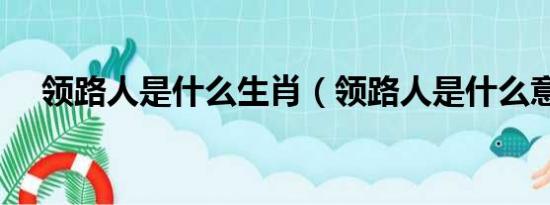 领路人是什么生肖（领路人是什么意思）