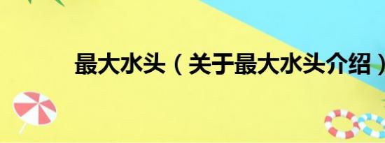 最大水头（关于最大水头介绍）