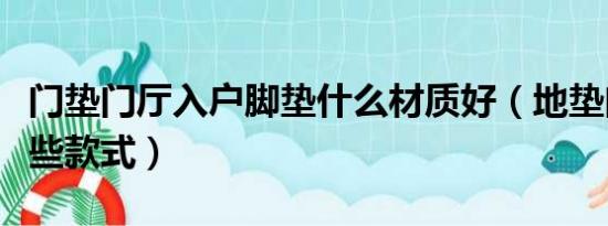 门垫门厅入户脚垫什么材质好（地垫门垫有哪些款式）