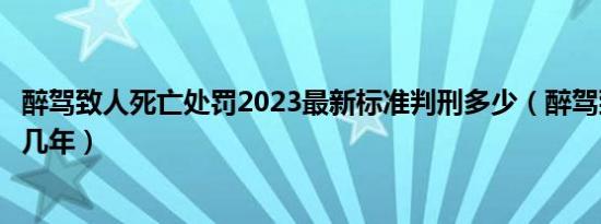 醉驾致人死亡处罚2023最新标准判刑多少（醉驾致人死亡判几年）