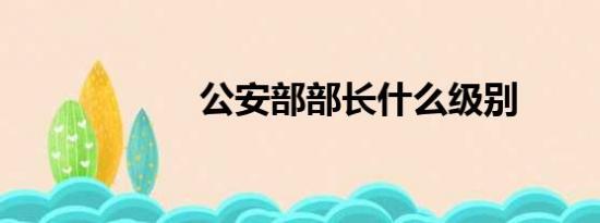 公安部部长什么级别