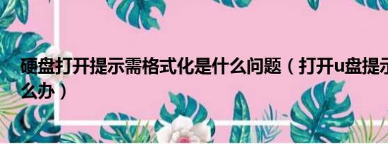 硬盘打开提示需格式化是什么问题（打开u盘提示格式化怎么办）