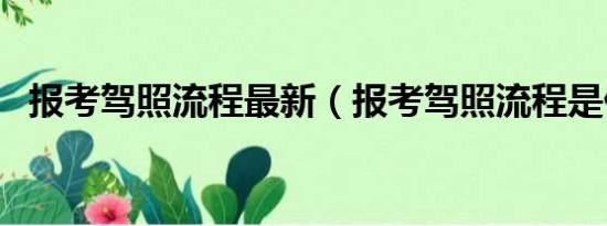 报考驾照流程最新（报考驾照流程是什么）