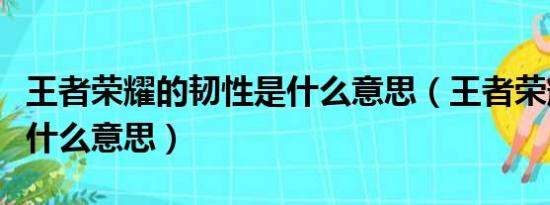 王者荣耀的韧性是什么意思（王者荣耀韧性是什么意思）