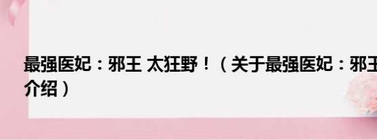 最强医妃：邪王 太狂野！（关于最强医妃：邪王 太狂野！介绍）