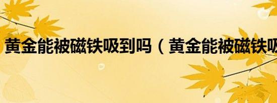 黄金能被磁铁吸到吗（黄金能被磁铁吸住吗）