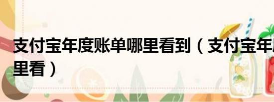 支付宝年度账单哪里看到（支付宝年度账单哪里看）