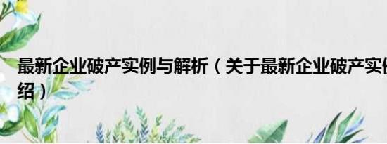 最新企业破产实例与解析（关于最新企业破产实例与解析介绍）