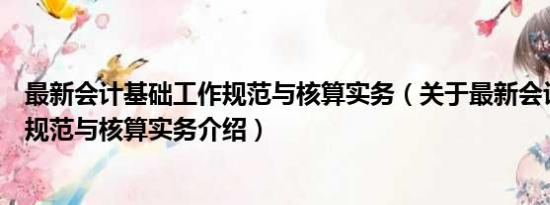 最新会计基础工作规范与核算实务（关于最新会计基础工作规范与核算实务介绍）