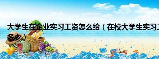 大学生在企业实习工资怎么给（在校大学生实习工资一般是多少）