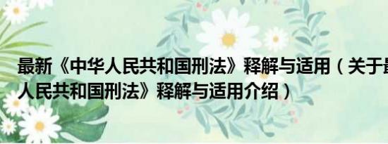 最新《中华人民共和国刑法》释解与适用（关于最新《中华人民共和国刑法》释解与适用介绍）