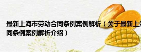 最新上海市劳动合同条例案例解析（关于最新上海市劳动合同条例案例解析介绍）