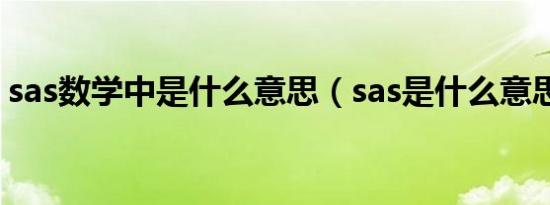 sas数学中是什么意思（sas是什么意思数学）